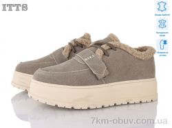 ITTS H2021-21 фото