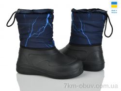 Weestep-Ukraine ARM1027 фото