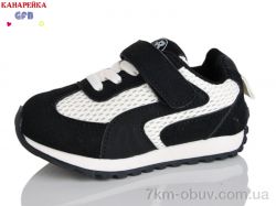 GFB-Канарейка T138-2 фото