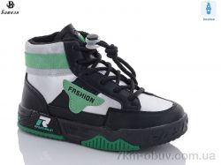 Башили E952-5A фото