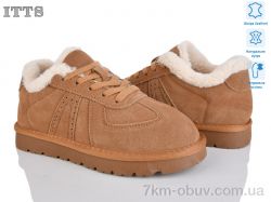 ITTS HY073-20 фото