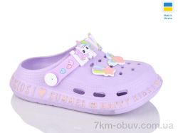 DeMur 005 бузковий фото