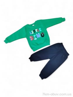 Kids-modnik 20101 зелений реглан-штани фото