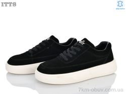 ITTS T6629-2 фото