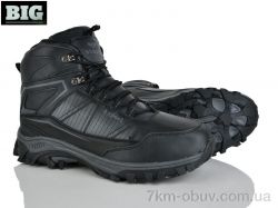 BIG A09019-2 фото