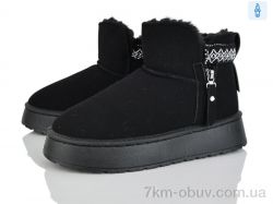 Lion-Lu CL2525 фото