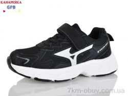 GFB-Канарейка R335-1 фото