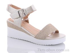 Favorit 31-1 gold фото