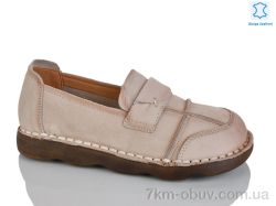 Teetspace-Trasta-Egga WDP2036-118 фото