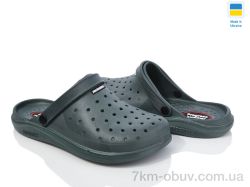 Golden Lion 232 зелений фото