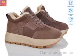 PLPS YJ686-3 фото