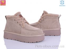 PLPS A3306 apricot фото