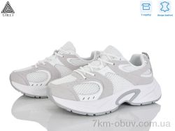 STILLI Group T40-2 шкіра фото