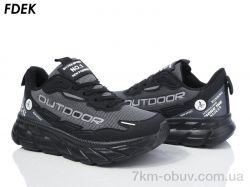 FDEK H9209-3 фото