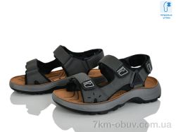 KIMBOO T66-3D фото