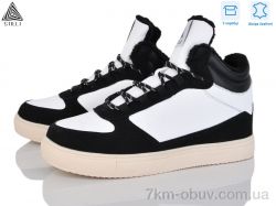 STILLI Group CX1710-4 шкіра фото