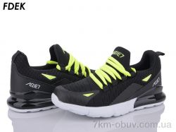 FDEK H9003-6 фото