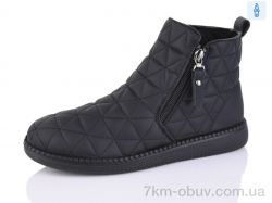 Коронате 665-1 фото