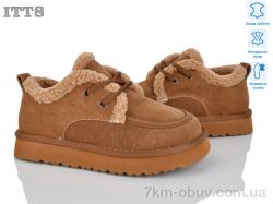 ITTS 5262-45 фото