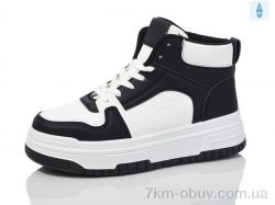 L.B. L1053-3 фото