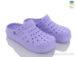 Golden Lion 151 сирий фото