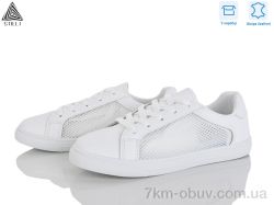 STILLI Group XB30-1 шкіра фото