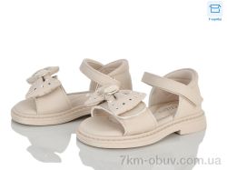 Clibee-ShoSho ZA167-3 фото