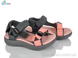 BBT L850-2-5 фото