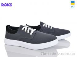 Roks 2407 фото
