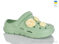 Крок 411 фісташка фото