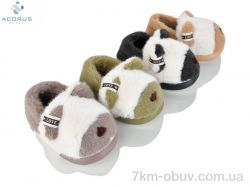 Acorus 24-160 mix фото