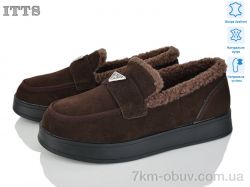 ITTS L31-41 фото