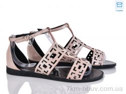 Victoria C206-2 фото