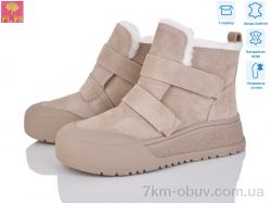 PLPS ZH729-3 фото