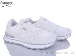 Dageni C889-2 фото