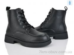 Loretta L031 фото