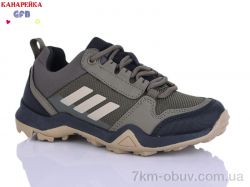 GFB-Канарейка R310-5 фото