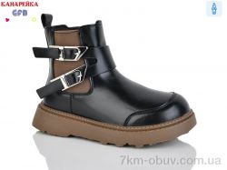 GFB-Канарейка S250-3 фото