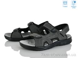 Hongquan F17-2 фото