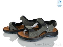 KIMBOO T63-4L фото