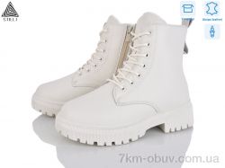 STILLI Group TM590-2 шкіра фото