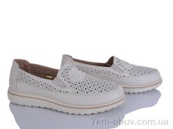 Lion-Lu 2024-59 фото