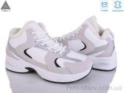 STILLI Group N200-8 шкіра фото