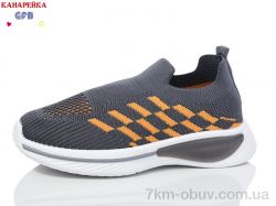 GFB-Канарейка X8033-3 фото