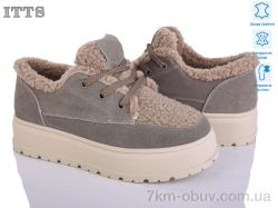 ITTS H2025-21 фото