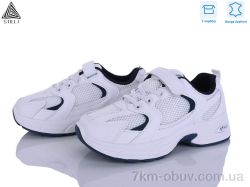 STILLI KIDS TQ50-5 шкіра фото