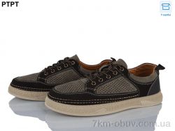 PTPT Y570-6 фото