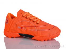 ASHIGULI C26-5 фото