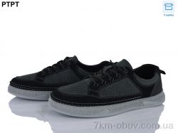 PTPT Y570-3 фото