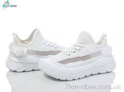 BBT F580-2-2 фото